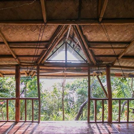 Busuanga Backpackers Pansiyon Concepcion  Dış mekan fotoğraf