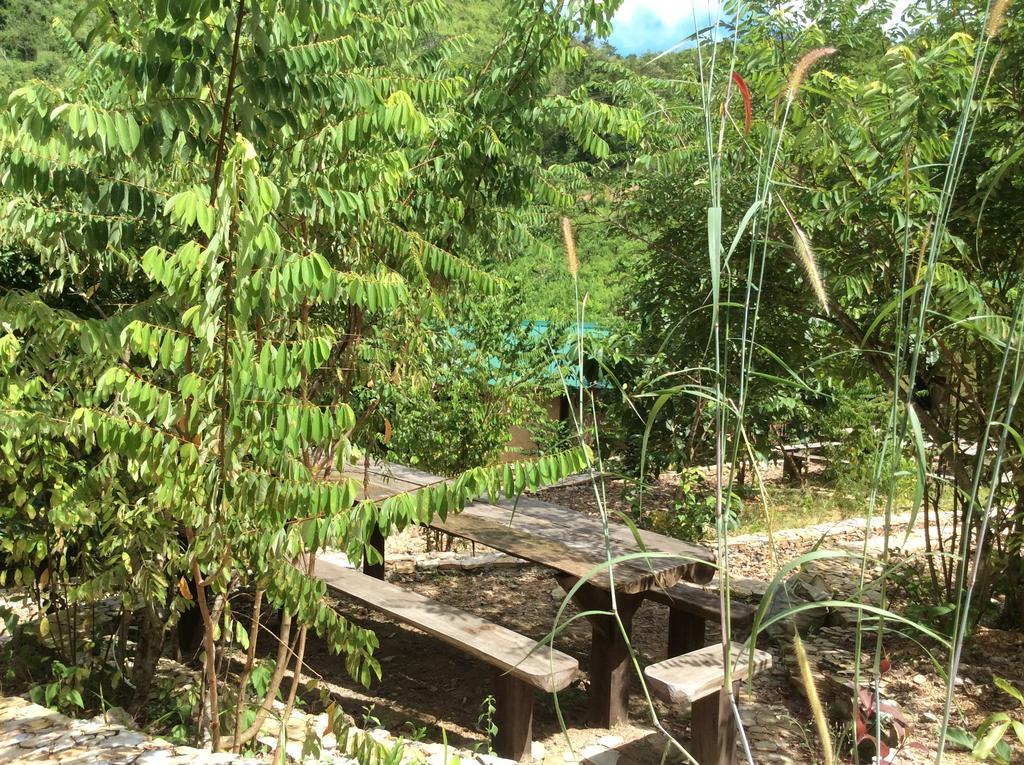 Busuanga Backpackers Pansiyon Concepcion  Dış mekan fotoğraf