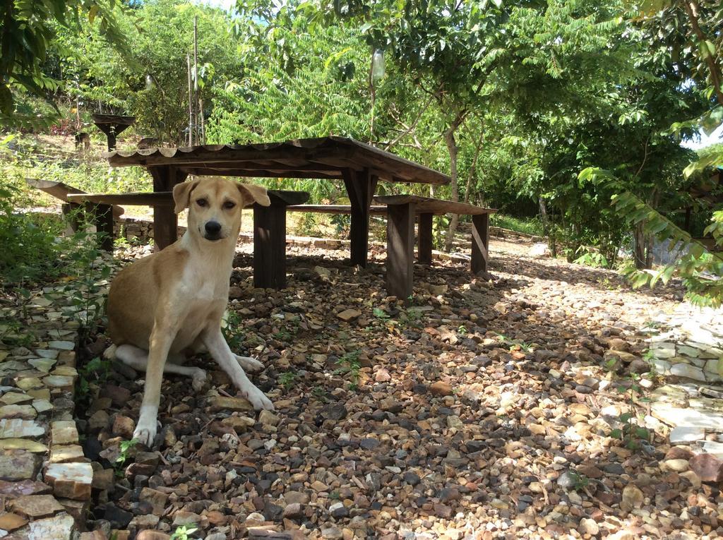 Busuanga Backpackers Pansiyon Concepcion  Dış mekan fotoğraf