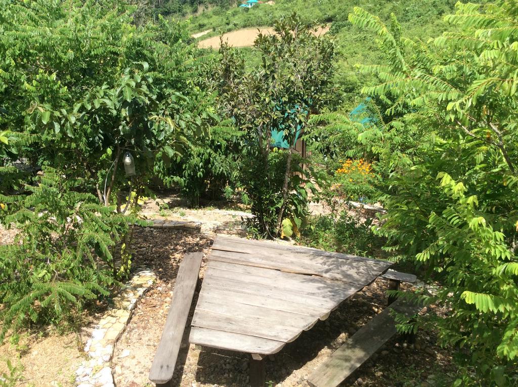 Busuanga Backpackers Pansiyon Concepcion  Dış mekan fotoğraf