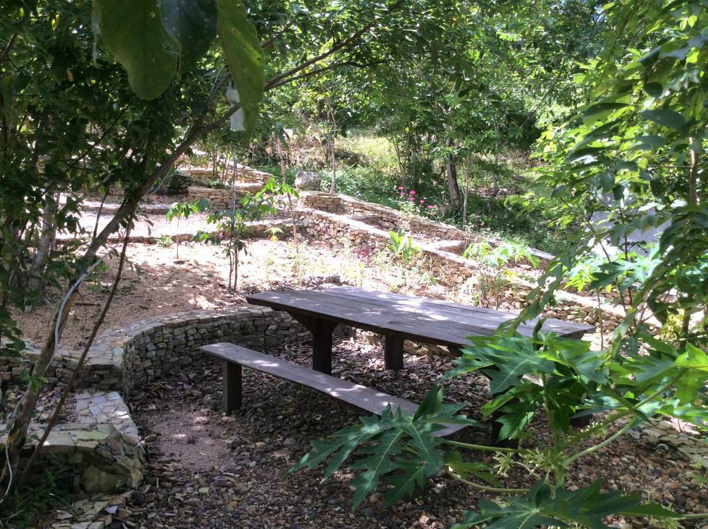 Busuanga Backpackers Pansiyon Concepcion  Dış mekan fotoğraf