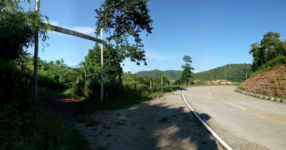 Busuanga Backpackers Pansiyon Concepcion  Dış mekan fotoğraf
